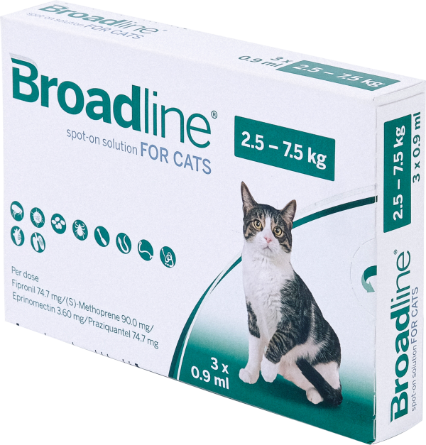 BROADLINE - Image 3