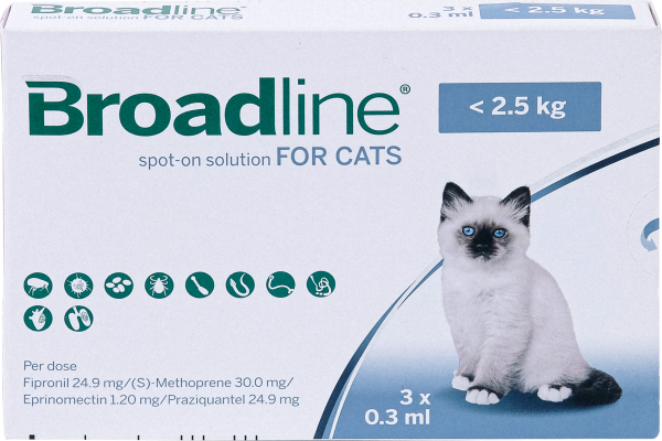 BROADLINE