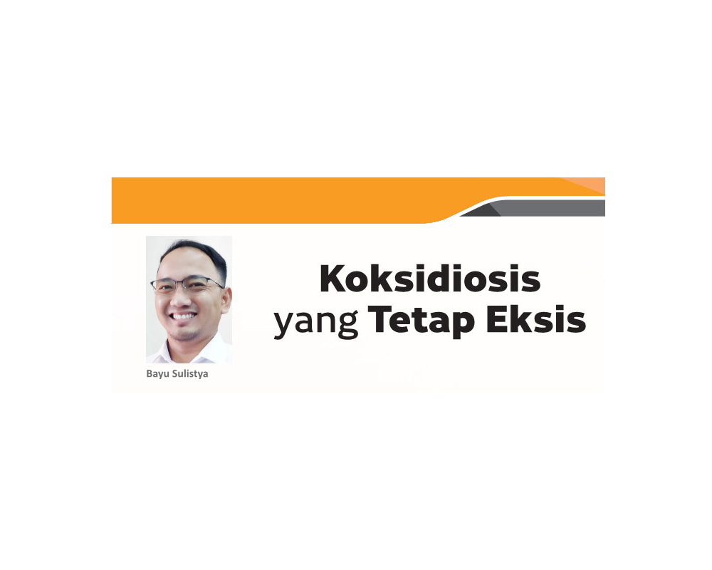 KOKSIDIOSIS YANG TETAP EKSIS
