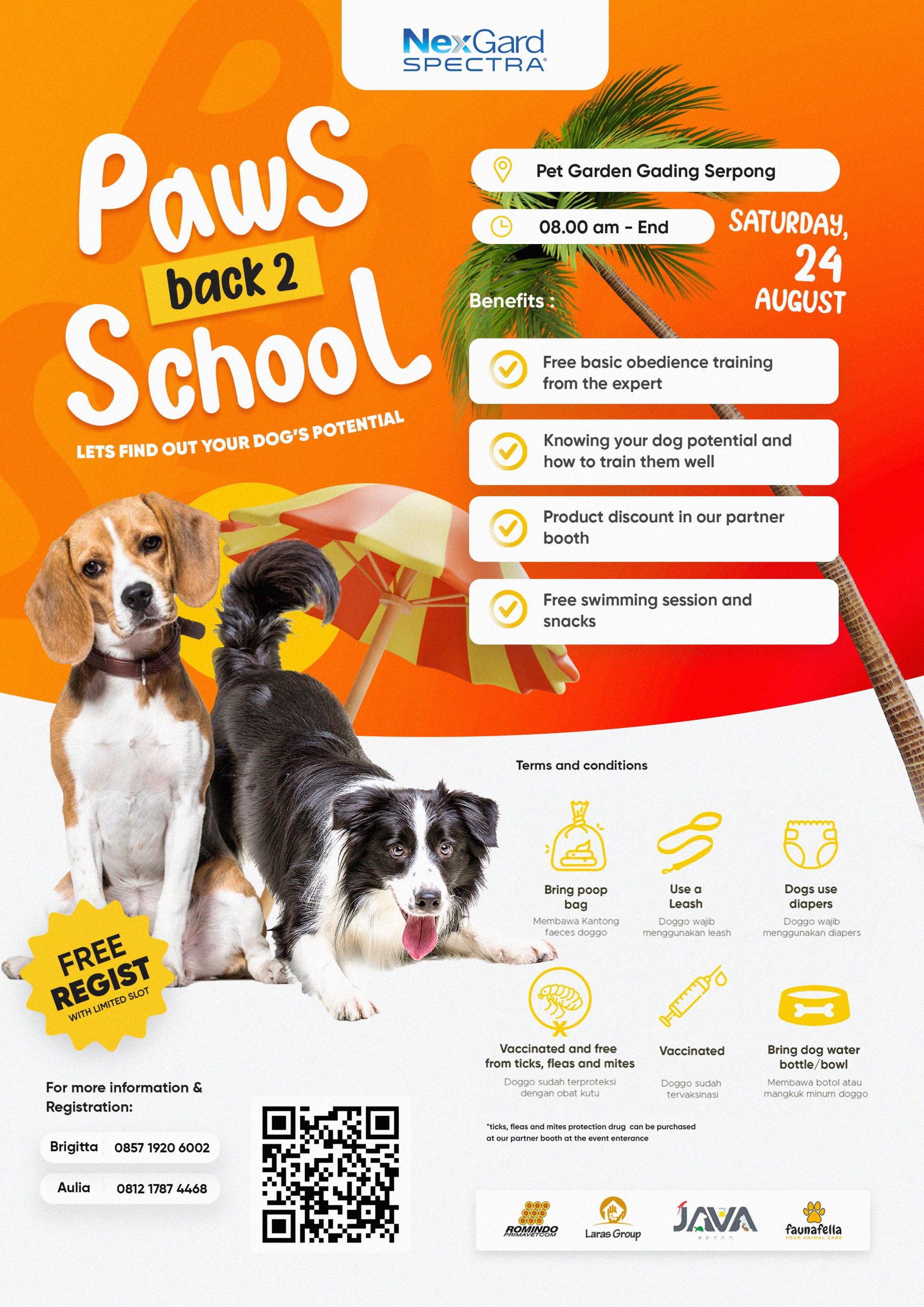 PAWS BACK TO SCHOOL